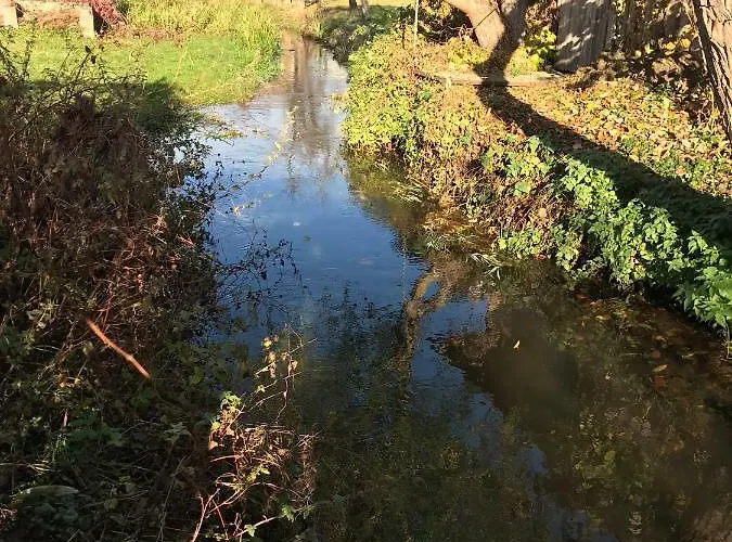 Haus An Den Elbwiesen