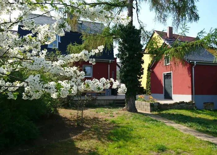 Tatil Evi Haus An Den Elbwiesen Wittenberg